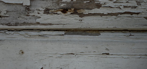 fondo de madera con textura vintage