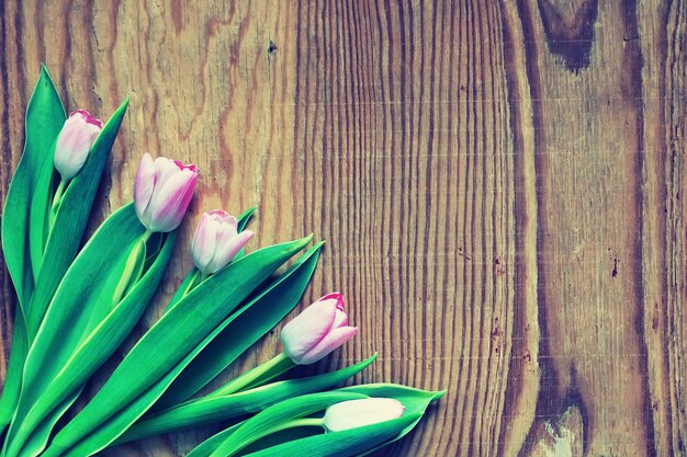 Fondo de madera con tulipán y té.