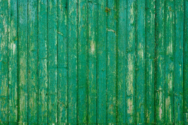 Fondo de madera verde con viejos tablones pintados tableros verticales