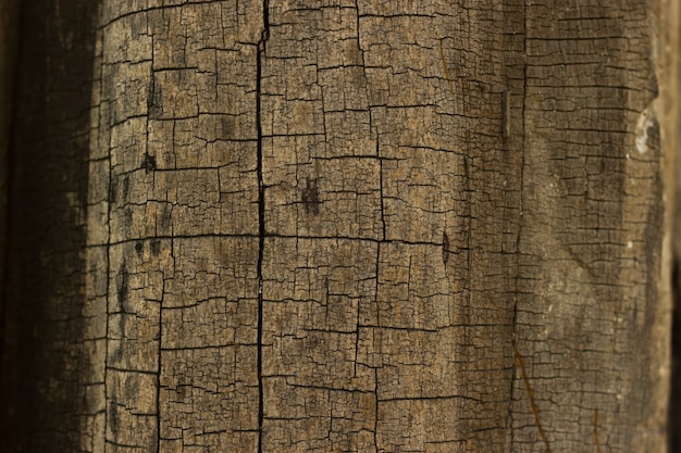 Fondo de madera vieja agrietada