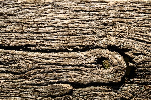 Fondo de madera vieja con textura profunda