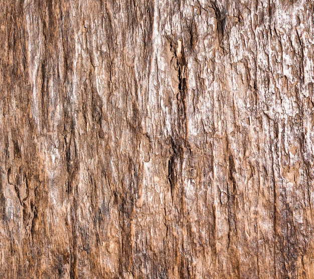 Fondo de madera vieja