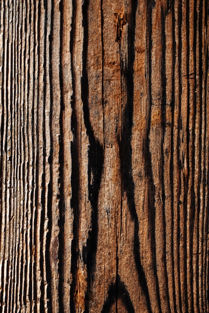 Fondo de madera vieja