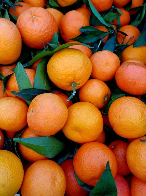 Foto el fondo de los mandarines