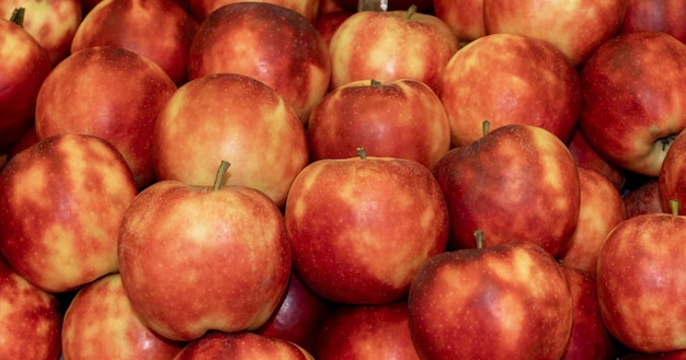 Fondo de manzanas holandesas rojas y amarillas en invernadero o mercado.