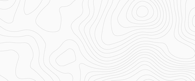 Fondo del mapa de contorno topográfico