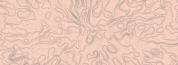 Foto fondo del mapa topográfico mapa de líneas geográficas con asignaciones de elevación cuadrícula geográfica de fondo de contorno