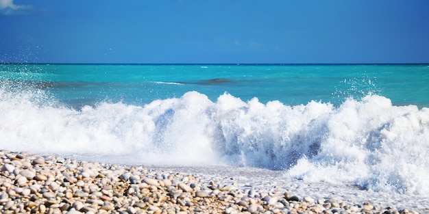 Fondo del mar. España. Costa Blanca.