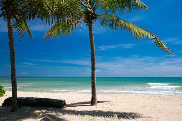 Fondo de mar y playa con espacio de copia