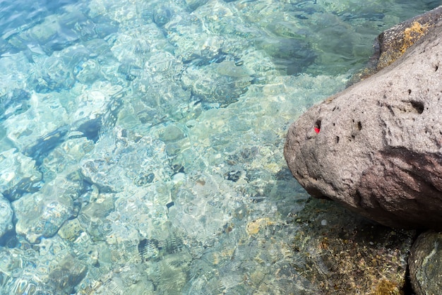 Fondo del mar, superficie ondulada de agua transparente, vista de fondo de piedras coloridas bajo el agua