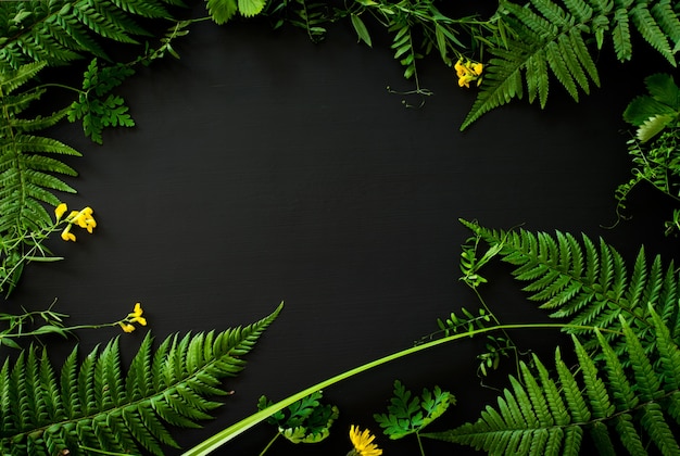 Foto fondo de marco de planta de bosque en pizarra