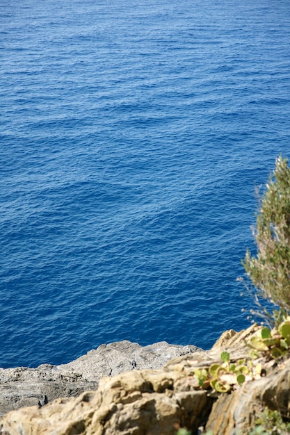 Foto el fondo marino visible a través de las aguas turquesa cristalinas del mar mediterráneo en cinque terre, italia