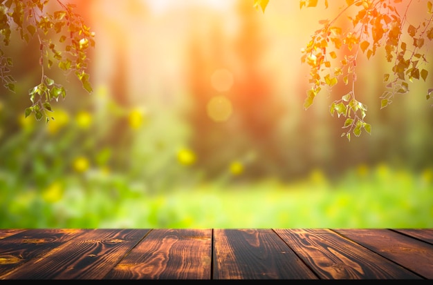 Fondo de mesa de madera de bosque prado soleado de verano con hierba verde fondo de árboles de bosque y óxido ...