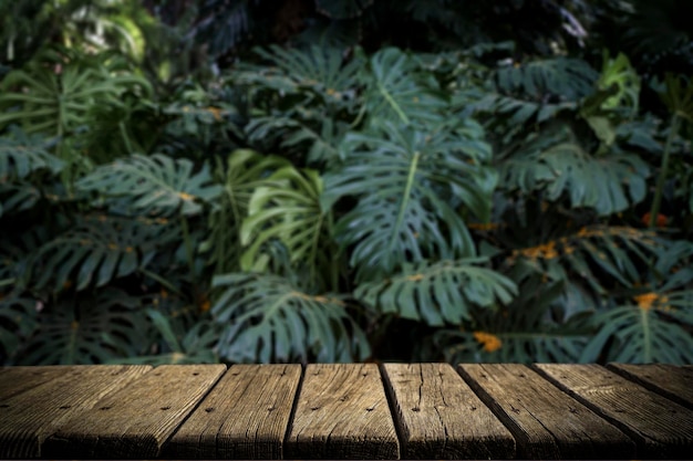Fondo de mesa de la selva Mesa de madera rústica con el telón de fondo de plantas tropicales palmeras y selva