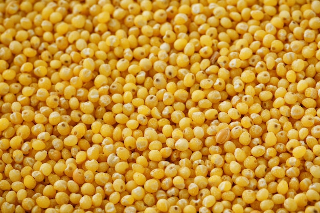 Fondo de mijo amarillo. Granos saludables vegetarianismo, macro.