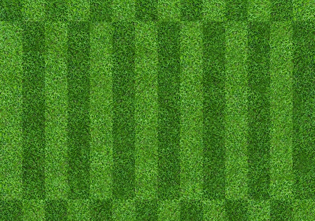 Fondo del modelo del campo de hierba verde para el fútbol y el fútbol.