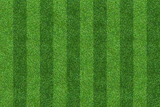 Fondo del modelo del campo de hierba verde para el fútbol y el fútbol.