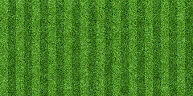 Foto fondo del modelo del campo de hierba verde para el fútbol y el fútbol.