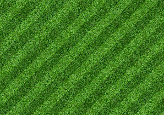 Foto fondo del modelo del campo de hierba verde para el fútbol y el fútbol.