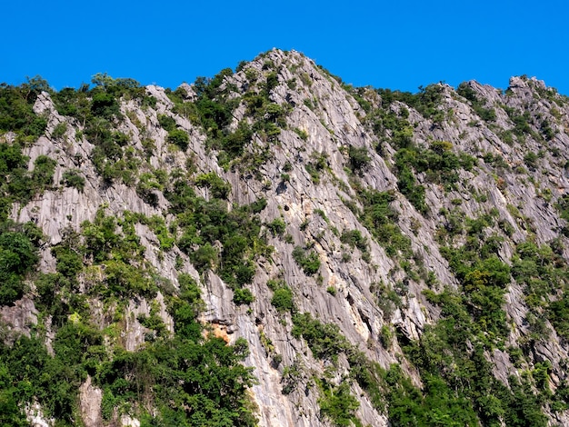 Fondo de montaña de roca. Textura de montaña de piedra con hojas verdes sobre fondo de cielo azul.