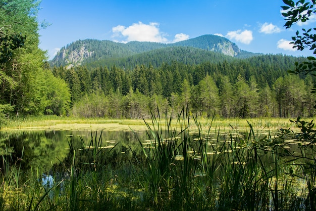 fondo de montaña