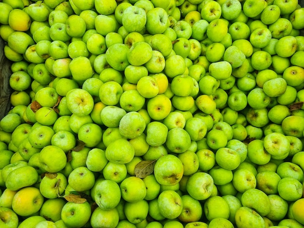 Fondo un montón de manzanas verdes el concepto de cosecha de frutas