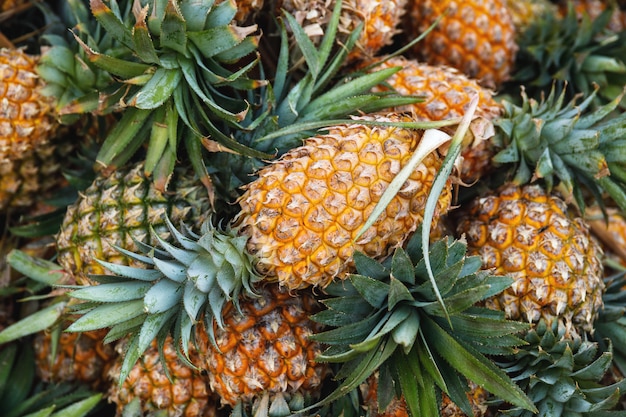 Fondo con un montón de piñas maduras