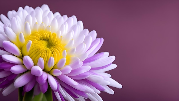 Un fondo morado con una flor en el medio.