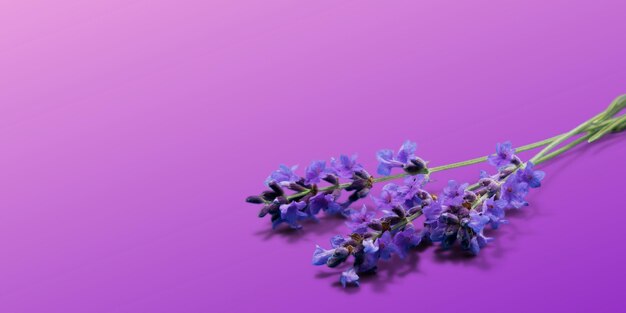 Foto fondo morado con flores