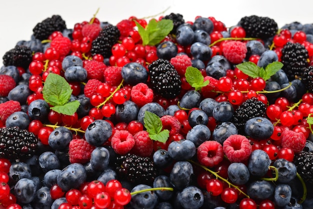 Fondo de moras, frambuesas, arándanos, grosellas rojas y menta.