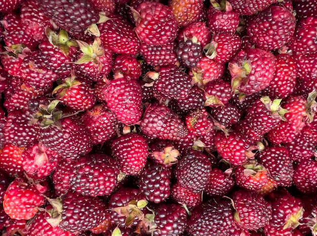 Foto fondo con moras frescas y jugosas