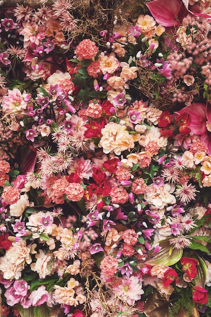 Fondo con muchas flores hermosas diferentes