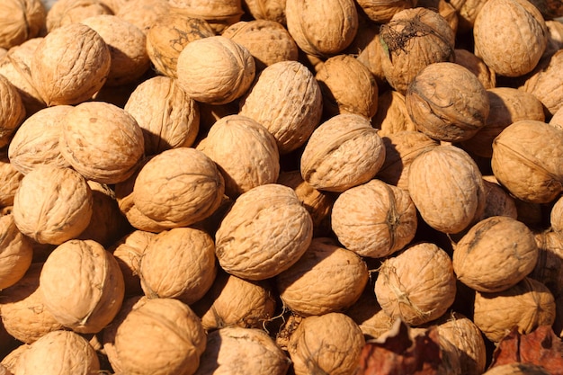 Fondo de muchas nueces iluminadas por el sol