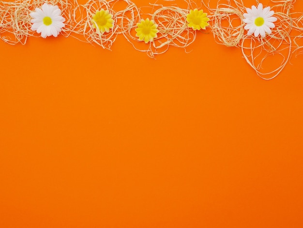 Foto fondo en naranja para el concepto de primavera
