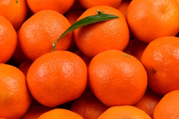 Fondo naranja mandarina.