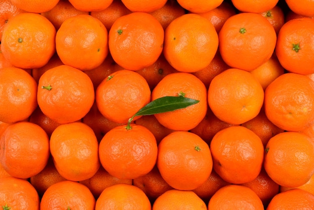 Fondo naranja mandarina