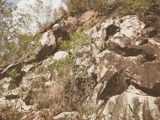 Fondo natural Grietas de acantilado en mal estado con bordes de primer plano Textura de roca de piedra gris marrón de las montañas Color de estilo mate vintage y descolorido en foto teñida Concepto de montañismo geológico o trabajo duro