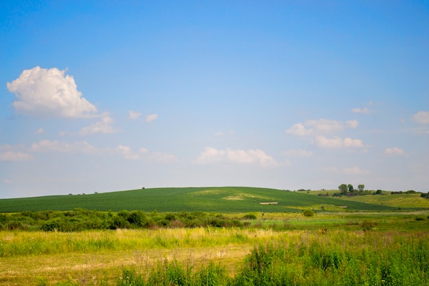 Fondo natural limpio cielo azul con pequeñas nubes blancas y un campo verde en verano