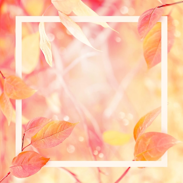 Fondo natural de otoño suave y delicado con marco Hojas rosas y amarillas en el bosque de otoño Espacio de copia libre para su diseño y texto Naturaleza mágica Imagen cuadrada