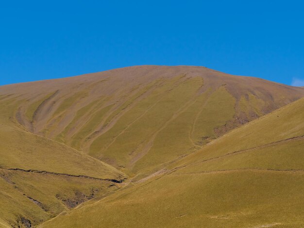 fondo natural, paisaje - una enorme colina verde y un cielo azul brillante