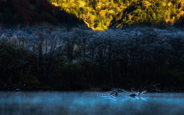 Fondo natural en temporada de otoño.