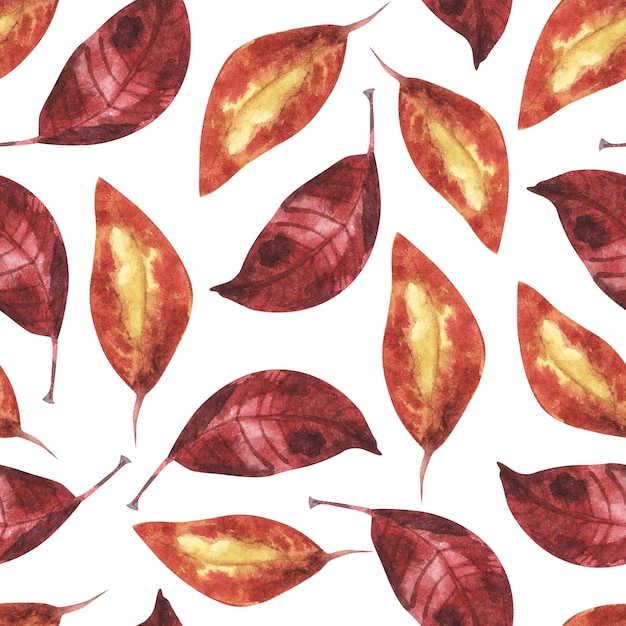Fondo de naturaleza abstracta Patrón de hojas rojas y naranjas Otoño otoño octubre Patrón sin costuras