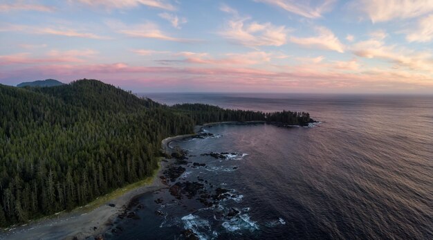 Fondo de naturaleza aérea de la costa del océano Pacífico