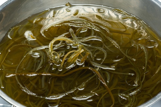 Fondo de naturaleza de algas verdes, investigación de plantas de mar de agua en laboratorio de ciencias ambientales, textura macro de hoja acuática de algas, vida orgánica en biotecnología océano submarino con luz, uso de biocombustible