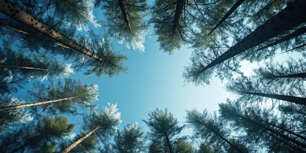 El fondo de la naturaleza de Boca