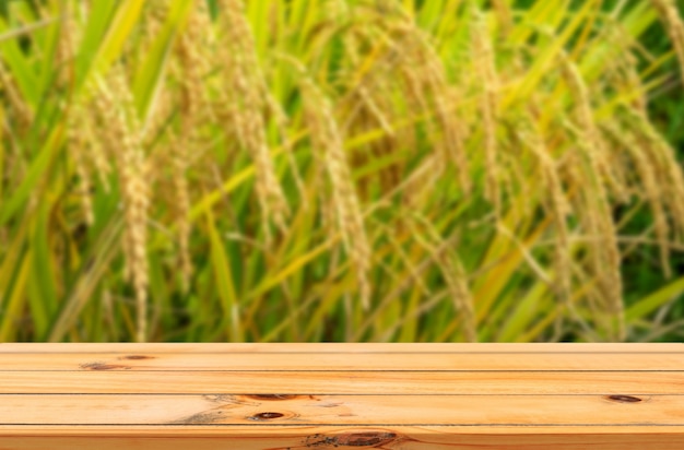 Foto fondo de naturaleza de granja de arroz verde con exhibición de productos de mesa de madera