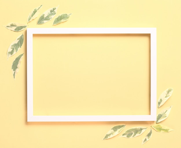 Fondo de naturaleza hecha de marco de fotos blanco y hojas frescas