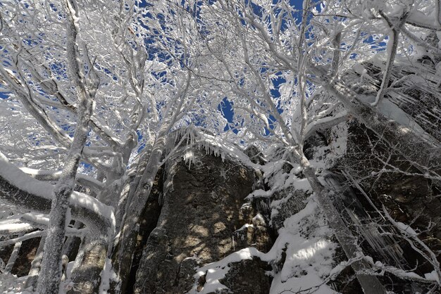 El fondo de la naturaleza del hermoso paisaje Sninsky kamen