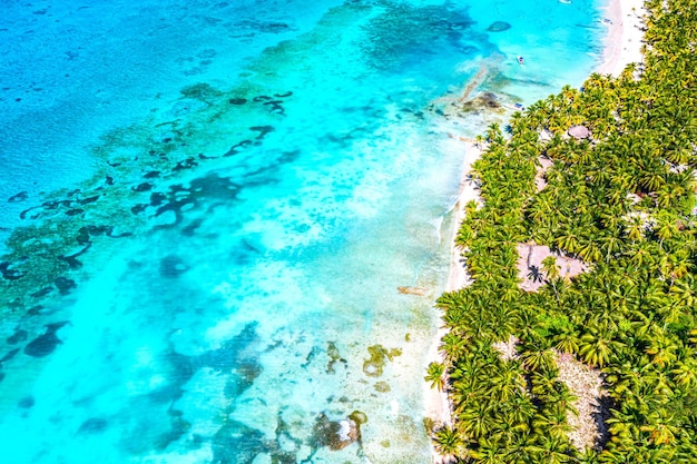 Fondo de naturaleza de isla tropical paraíso. Vista aérea superior de drone de hermosa playa con agua de mar turquesa y palmeras. Isla Saona, República Dominicana.