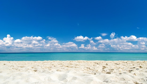 Fondo de naturaleza de playa y mar tropical